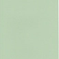 RAL 6019