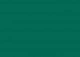 RAL 6016