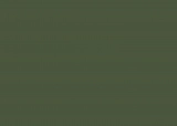 RAL 6003